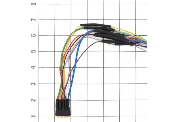 Plug with Pins