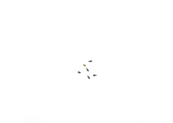 Steckdosen
