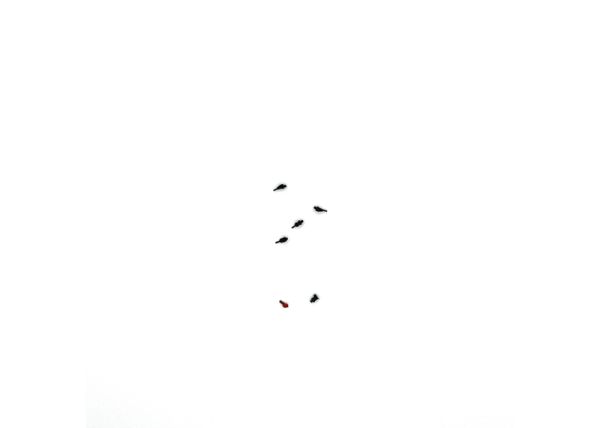 Socket