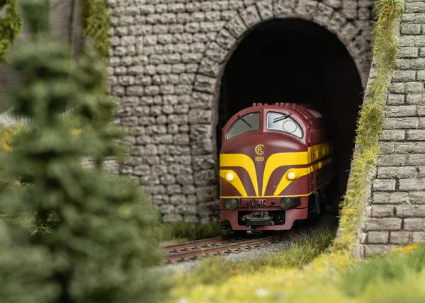 Diesellokomotive Serie 1600