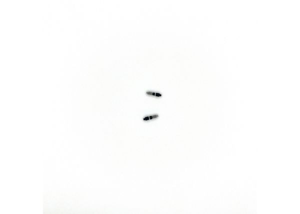 Antriebswelle 2 St