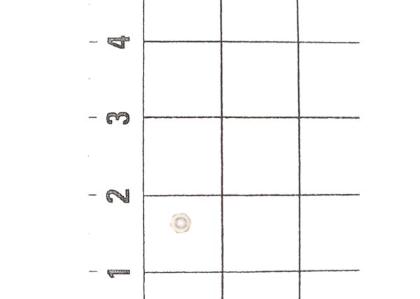 Sechskantmutter M1,6 10 St
