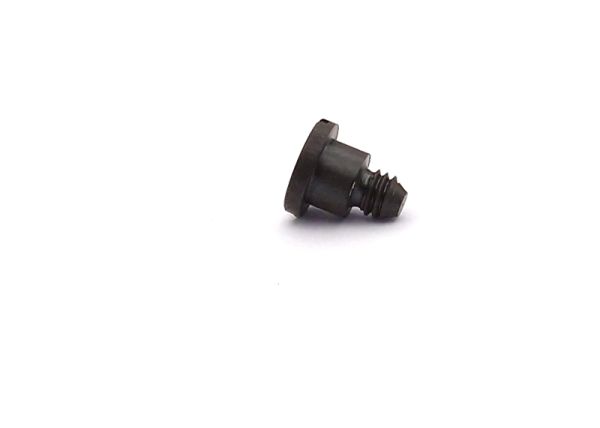 Zylinderansatzschraube M2,5 10 St