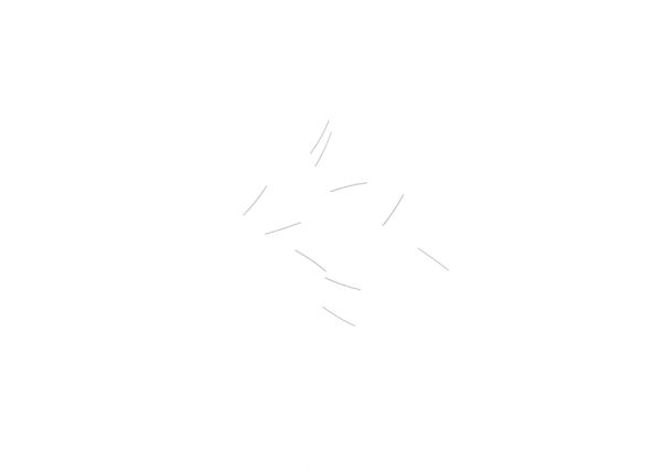 Spring Rod 0,12x13,6 (10x)