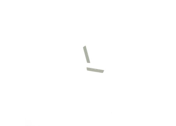 Diaphragm 2 pcs