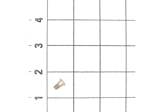Sechskantansatzschraube M2x3,9 10 St