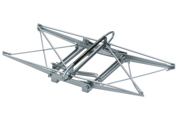 Double Arm Pantograph