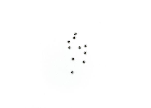 Cheese Head Screw M1,7x2 (10 pcs.)