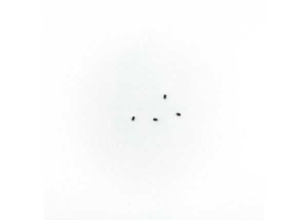Antenna 4 pcs