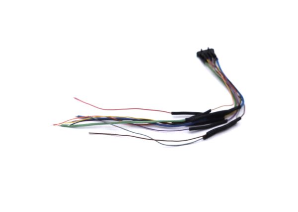 Plug with Pins