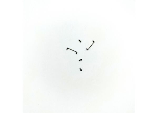 Griffstangen, Schildhalter