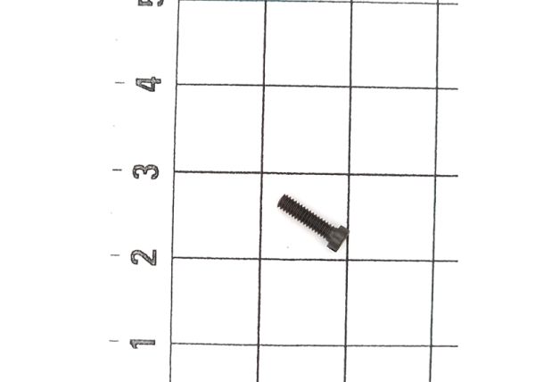 Cheese Head Screw M2x7,5 (10 pcs.)