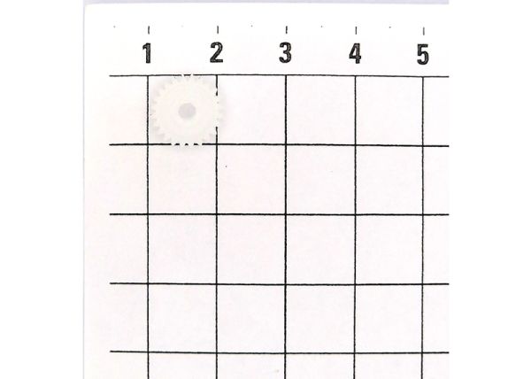 Beisatzrad 4 St