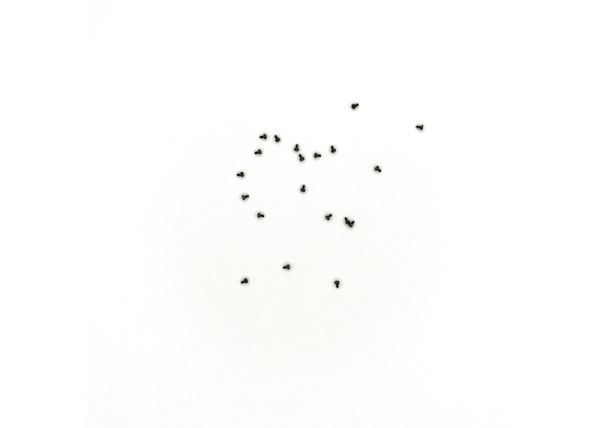 Zylinderschraube M1x2 10 St