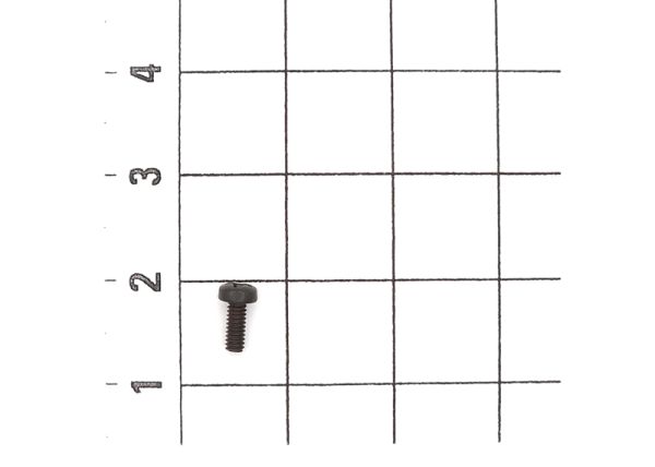 Linsenkopfschraube M2x5 (10 St)