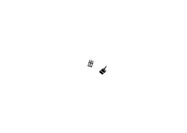 Treppe schwarz 2 St