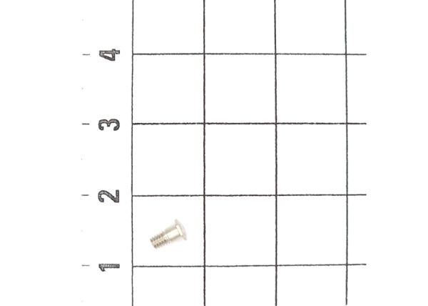 Cheese Head Shoulder Screw M2x4,5 (10x)