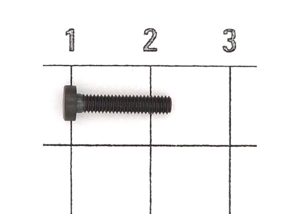 Zylinderschraube M2,5x12 (10x)
