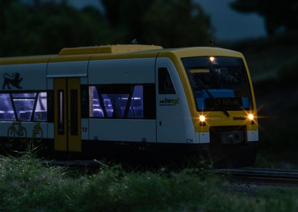 Dieseltriebwagen Regio Shuttle RS1, Baureihe 650