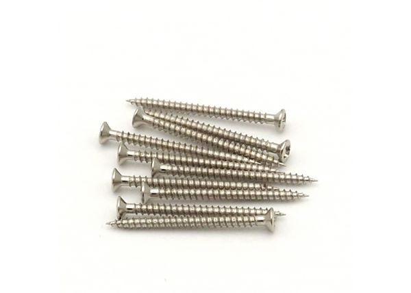 Linsenschraube 2x25 10 St