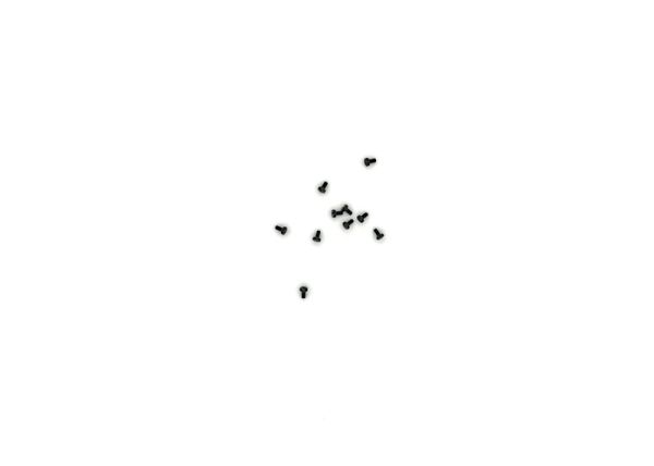 Zylinderschraube M1,6x3 10 St