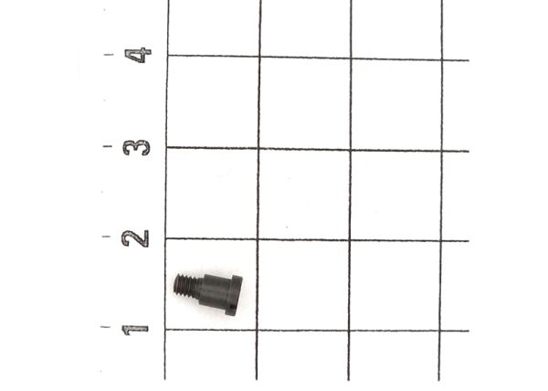 Cheese Head Shoulder Screw M2,5x6 (10x)