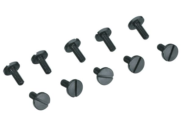 Cheese Head Screw M2x5,4 (10 pcs.)