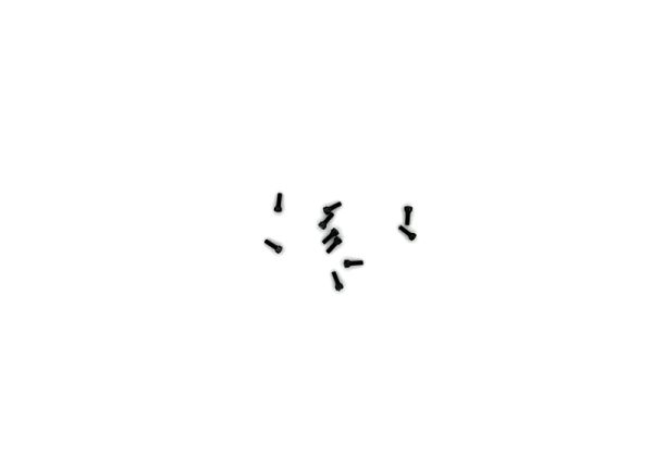 Formschraube 2x5,5 10 St
