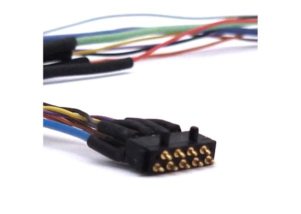 Plug with Pins