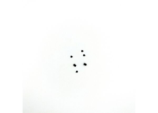 Steps