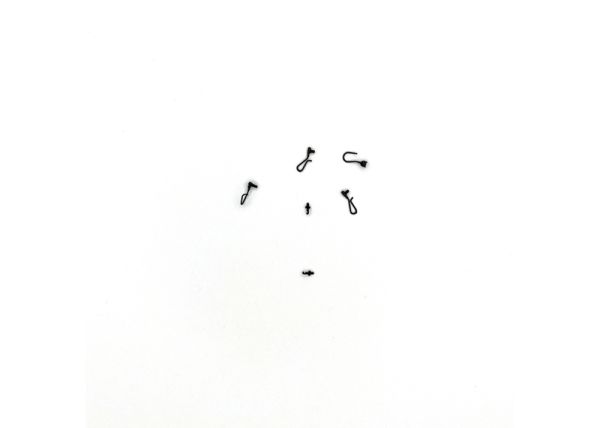 Hooks & Lines