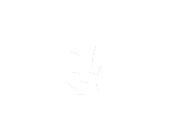 Federstab 0,12X15 (10 St)