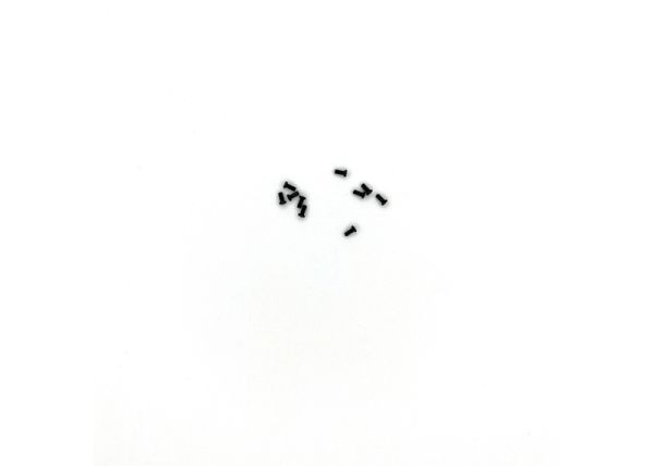 Screw M2x4 10 pcs