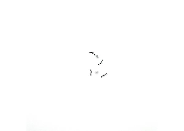 Scheibenwischer li.+re., Endstück