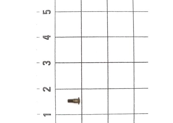 Hex Head Shoulder Bolt M1,6x4,2 (10x)
