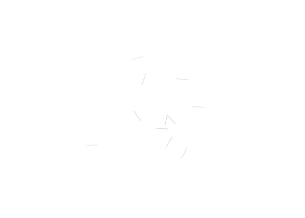 Federstab 0,12X9,2 (10 St)