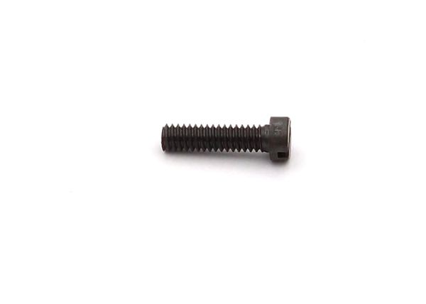 Cheese Head Screw M2x7,5 (10 pcs.)