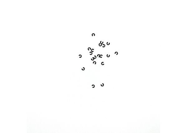 Sicherungsscheibe 1,9 (10 St)