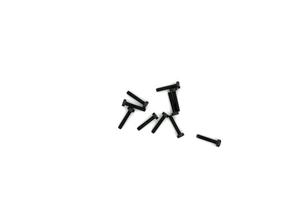 Cheese Head Screw M3x16 10 pcs