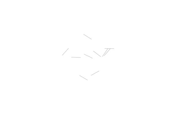 Spring Rod 0,12x13 (10x)