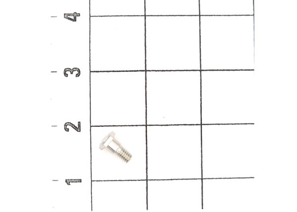 Sechskantansatzschraube M2x5 (10 St)