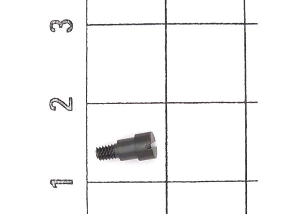 Zylinderansatzschraube M2x3 (10 St)