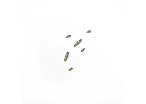 Step