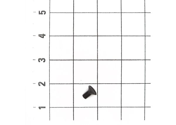 Linsensenkschraube M2,5x5 10 St